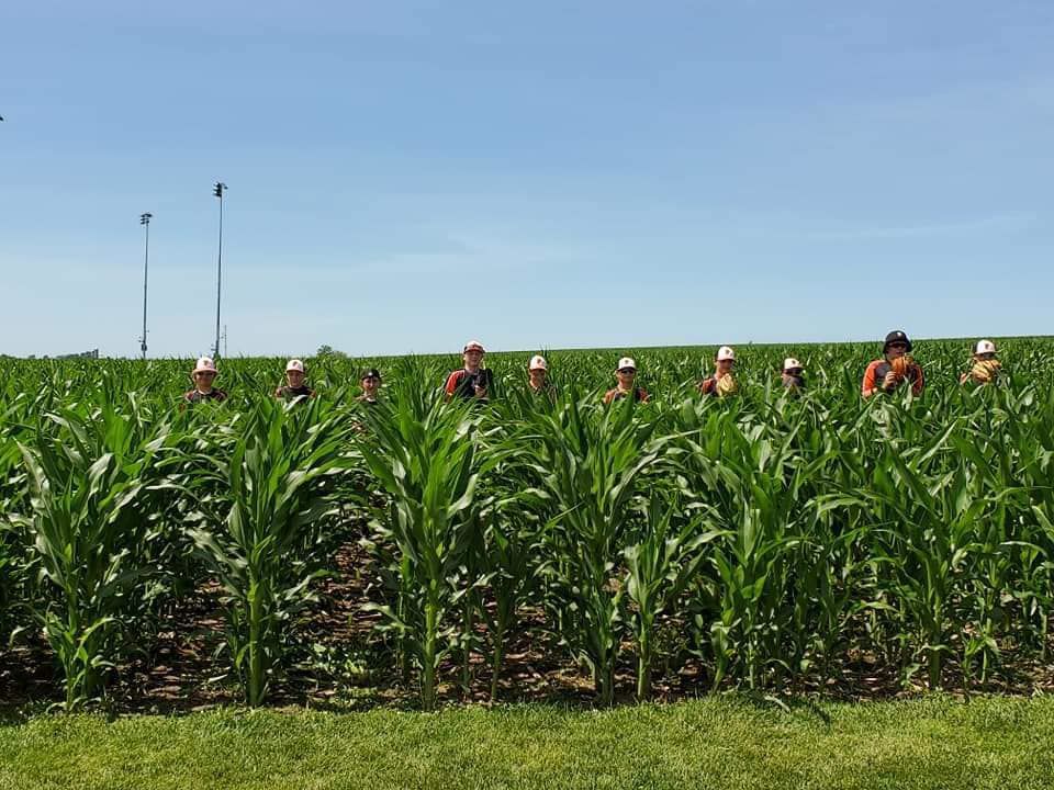 corn